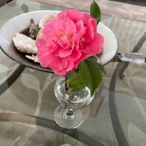 Meet your Posher, Barb